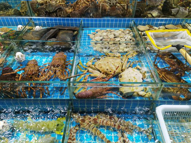 高端水產(chǎn)品價格探秘 為何一些水產(chǎn)售價如此昂貴？