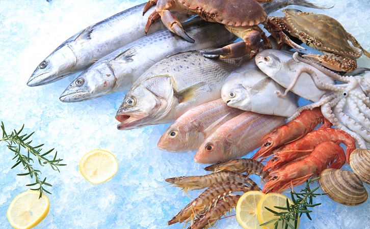 上海水產品進口報關所需資料詳解