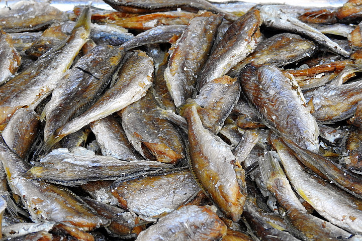 海鮮水產 營養(yǎng)與美味的海洋饋贈